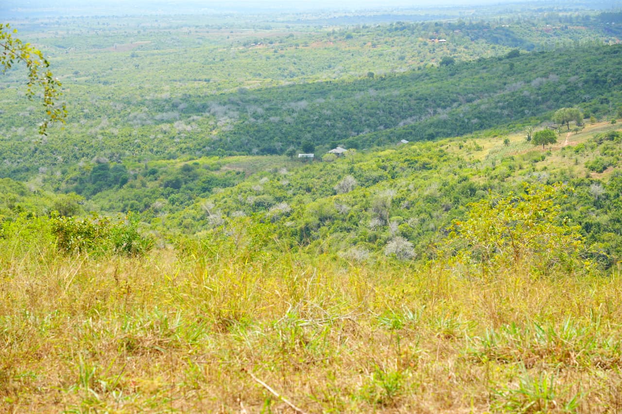 Zeinabiya Foundation field work photograph 69